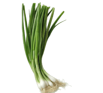 Spring onion bunch