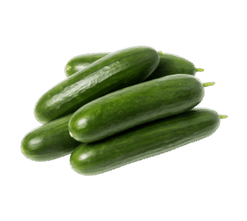 Cocumber lebanese 500g