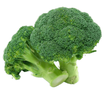 Brocolli